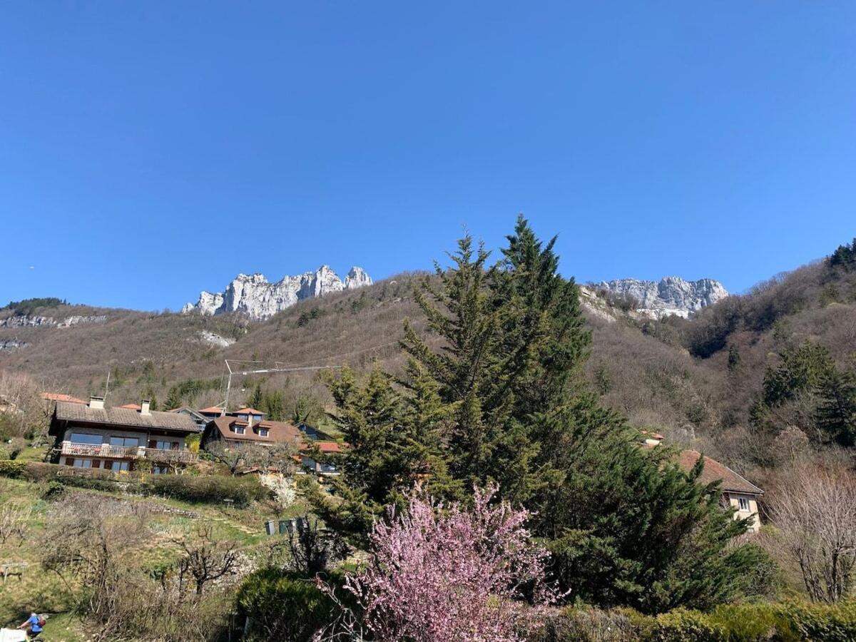 Duplex Vue Et Montagne A